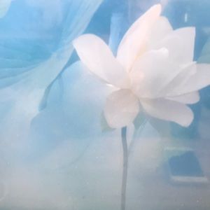 Meet your Posher, Eden